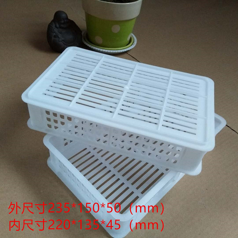 Factory Direct Sales Plastic Crates Turnover Baskets for Packaging Fruits 1.0kg Blueberry Baskets Blueberry Picking Baskets Transport Baskets Factory Direct Sales Plastic Crates Turnover Baskets for Packaging Fruits 1.0kg Blueberry Baskets Blueberry Picking Baskets Transport Baskets