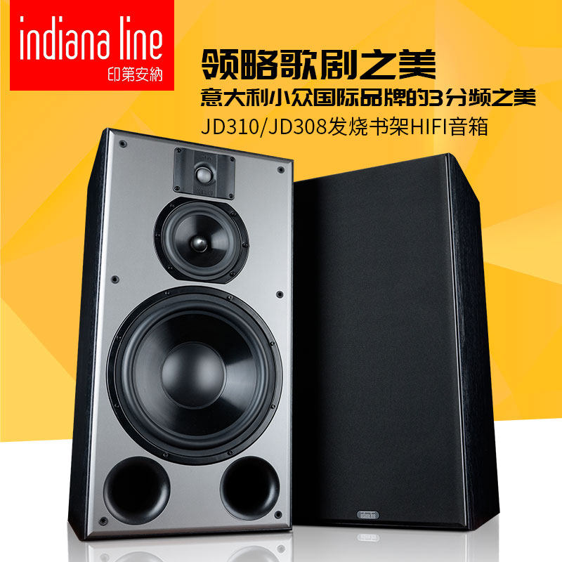 Italian Indianaline Acoustics DJ308 Bookshelves 11 Inch 9 Inch 3 Frequency Division Fever High Fidelity Hifi Speaker