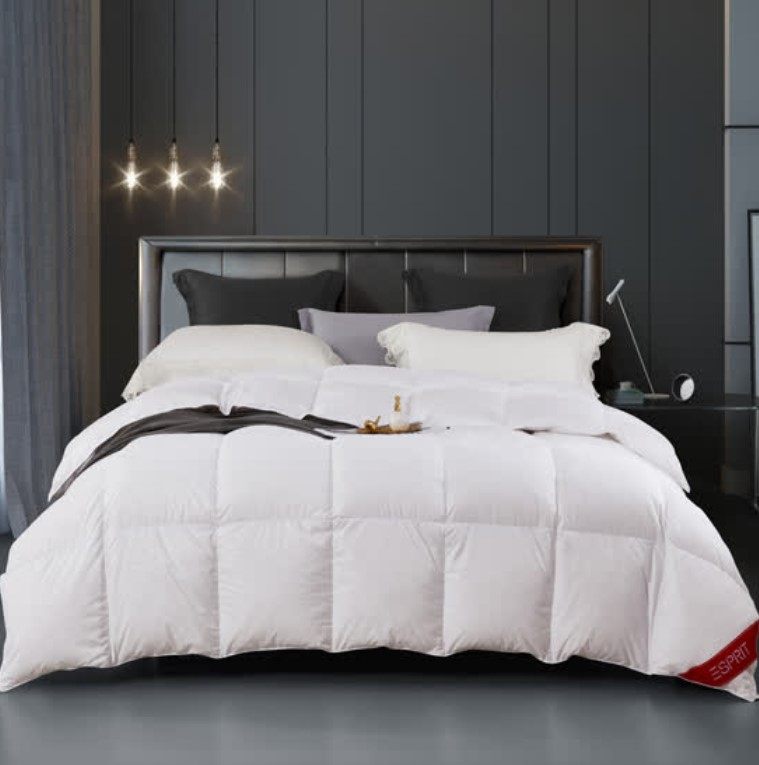 ESPRIT Zhenyou White Goose Down Spring and Autumn Quilt Set 95 White Goose Down Spring and Autumn Quilt Oriental cj Shopping
