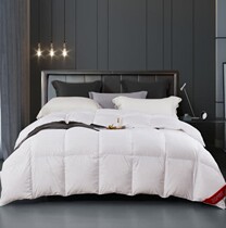 ESPRIT Zhen U White Goose Down Spring Autumn Quilt Cover Group 95 White Goose Down Spring Autumn By Oriental Cj Shopping