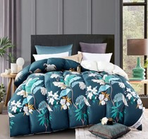 Snormann Siberian White Goose Down Is Overvalued Plus Bespoke Oriental CJ Shopping