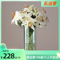 Caragle Spain imports Nordic Jane approximately long straight cylinder Thickened Glass Decorative Vase Flower Arranger