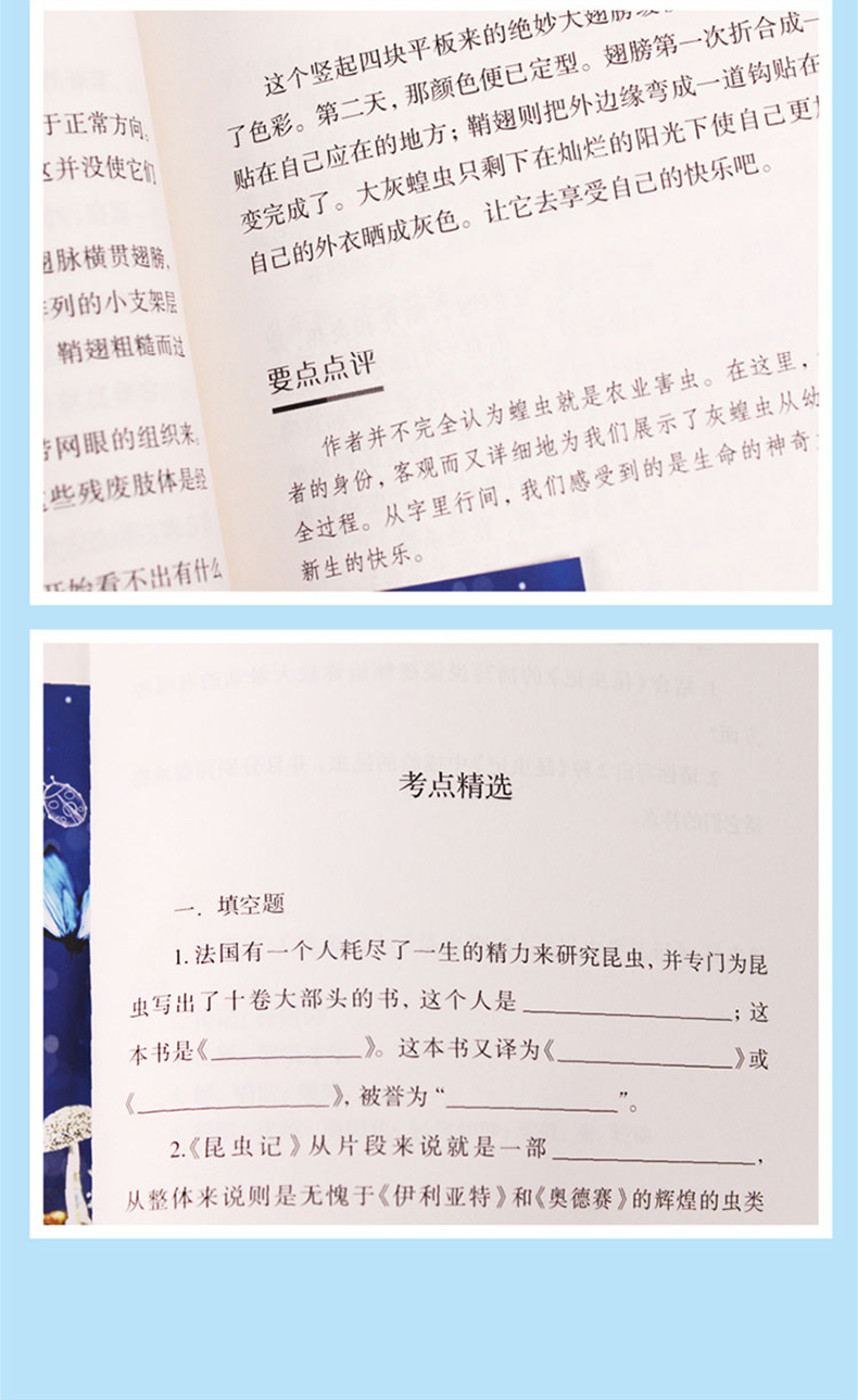 昆虫记 新课标必读名著书籍 图7