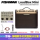 Ngư dân Fishman Loa Lớn mini 60W Đàn guitar acoustic dân gian chơi sạc loa violin - Loa loa loa b&w