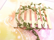 Gypsophila wreath leaves DIY clip head jewelry handmade wreath material accessories birch branches pine cones