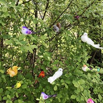 Simulation Bird boutique flocking color bird White Dove squirrel Magpie butterfly Dragonfly home accessories handmade material