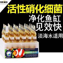 Kodi nitrifying bacteria French digestive bacteria food fish tank with aquarium beneficial dry powder active liquid culture and concentration reaction