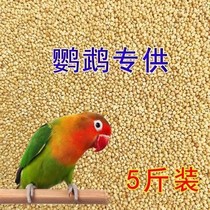 (Boutique Large Grain) New Yellow Valley Sub-Shelled Millet Tiger Leather Parrot Feed Bird Food and Bird Food Nutritious Grain Millet