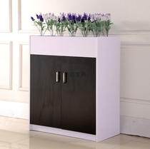 Flower tank cabinet partition dwarf cabinet collects locker office data filefile edge cabinet cabinet wood