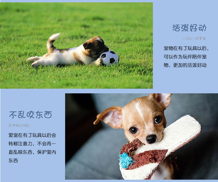 Pet puppy dog ​​toy ball vocal mol cắn đào tạo Teddy gấu con chó con mèo và chó đồ chơi vật nuôi - Mèo / Chó Đồ chơi đồ chơi cho chó gặm