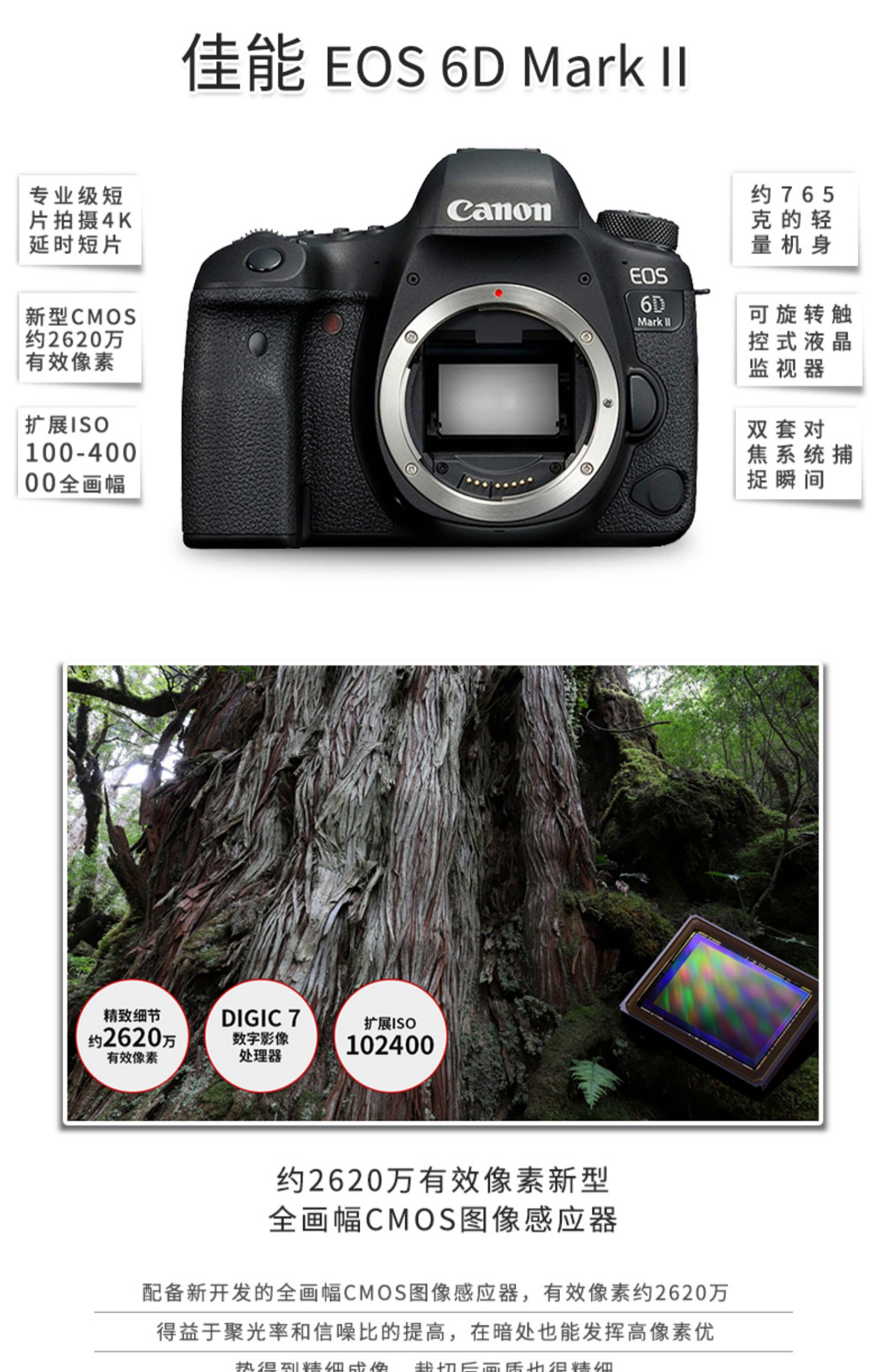 Bộ kit Canon 6D2 có thể thay thế Ống kính EOS 6D Mark II 24-70 Máy ảnh DSLR full frame - SLR kỹ thuật số chuyên nghiệp máy chụp hình sony