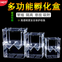 Guppies breeding box fish tank acrylic isolation box extra large spawning incubator production room small fry young fish