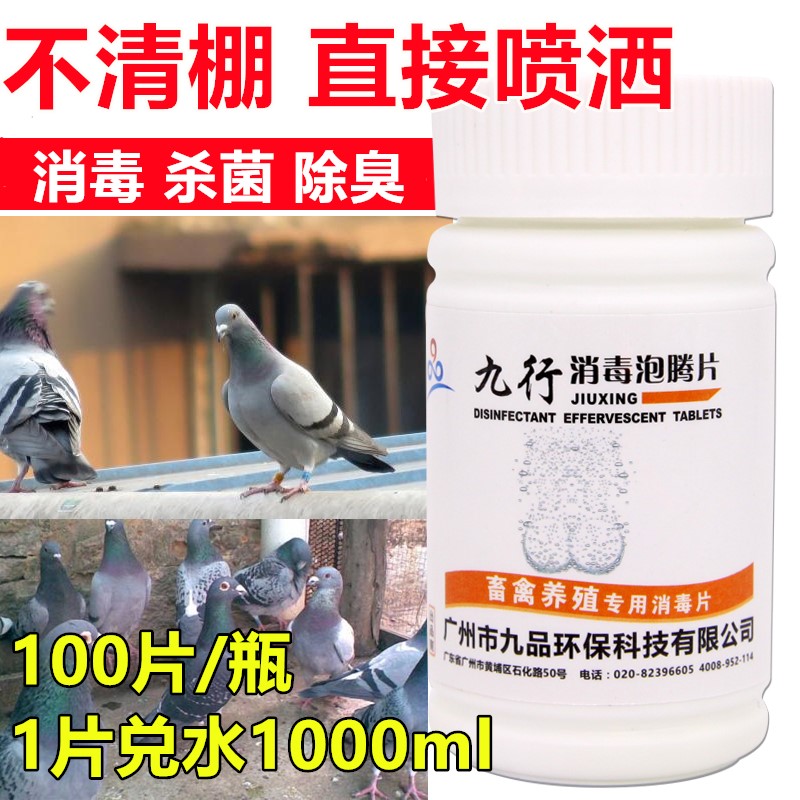 Nine Rows Pigeon Medicine Pigeon House Dove Shed Thimerosal Bird Cage Racing Dove Letter Dove Parrot Supplies Utensil to sterilize the medicinal water