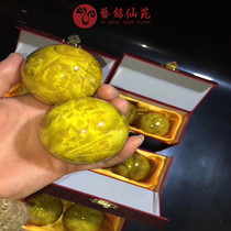 Gold Chango Healthcare Ball Golden Silk Nang Fitness Hand Turned Ball Adult Massage Active Practice Hand Play Exercise Red Wood Healthy Ball