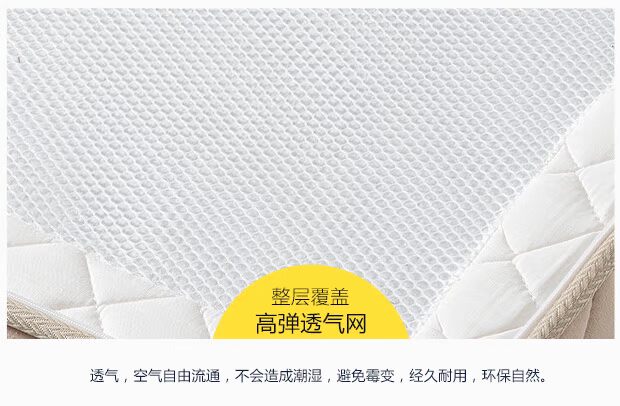 Eddie Monto gấp tatami 1.5m1.8 m xơ dừa latex nệm 10cm dày cứng trên sàn cứng Lantern - Nệm đệm lò xo