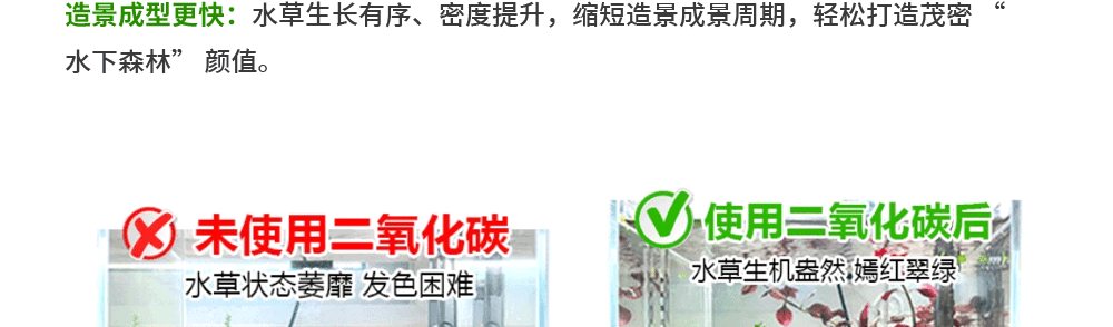 Оборудование для диоксида углерода 牧梵迷你抛弃式二氧化碳co2套装减压阀草缸钢瓶气瓶铝瓶16一次性