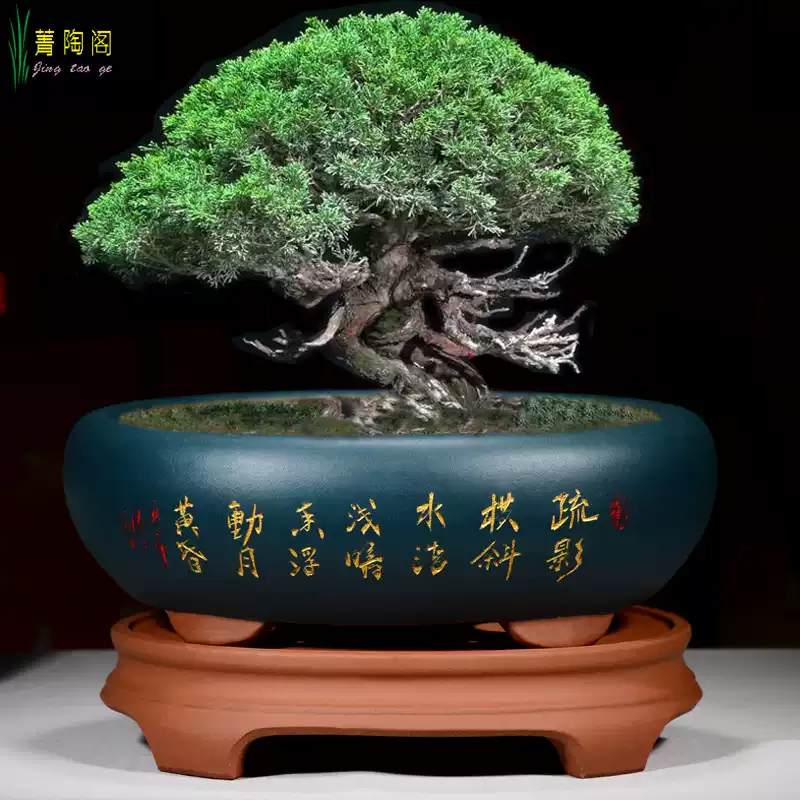 盆栽台、水石、茶台、高級紫檀彫刻　座卓、　在銘　普山 盆栽台、水石、茶台、高級紫檀彫刻 座卓、 在銘 普山