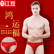 Red bean men's big red tiger year wedding festive red briefs solid cotton briefs head