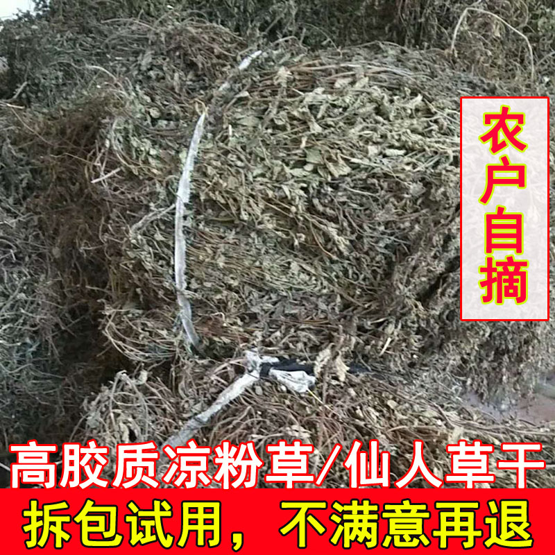 Jummy grass dried fairy grass jelly Guangdong Jummy grass homemade roasted fairy grass food medicine 500g