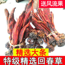 Yunnan Huiyang Grass 500g Dingtianzhu wild grass Cistanche Male wine Huiyang grass