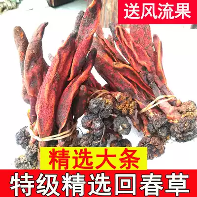 Yunnan Huiyang Grass 500g Dingtianzhu wild grass Cistanche male wine Huiyang grass
