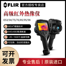 Тепловизор flir菲力尔手持式热成像仪e54 e85 e75红外热像仪工业e76 e86