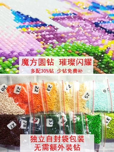 Полная бриллиантовая живопись Xun Hong Xiufang Dream Wonderland Scep.