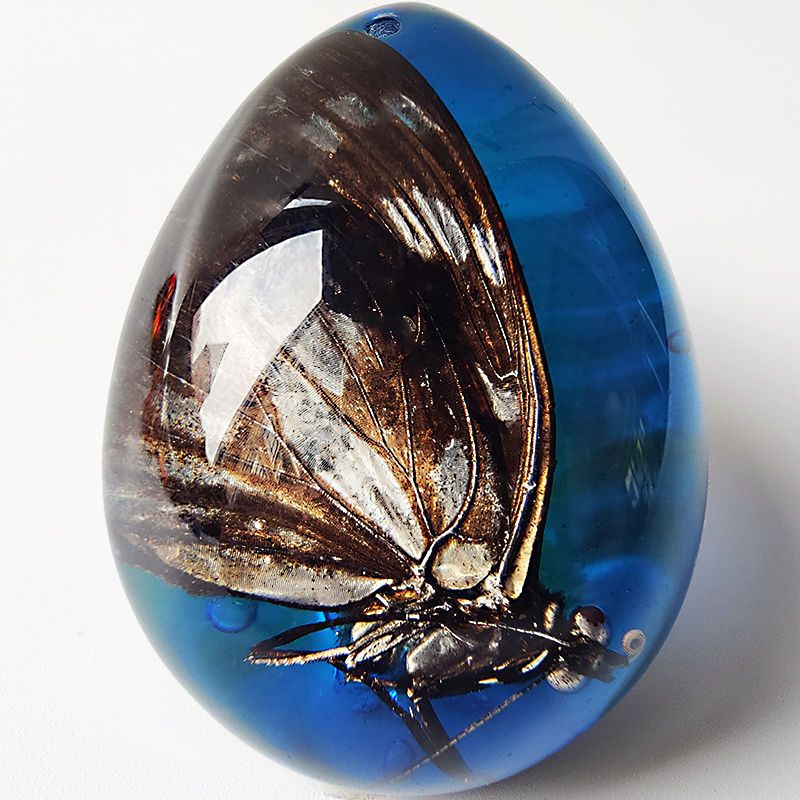Year of the Tiger Natural Insect Specimens Real Insects Scorpions Butterflies Spiders Crabs Amber Water Drop Pendant Versatile Pendant