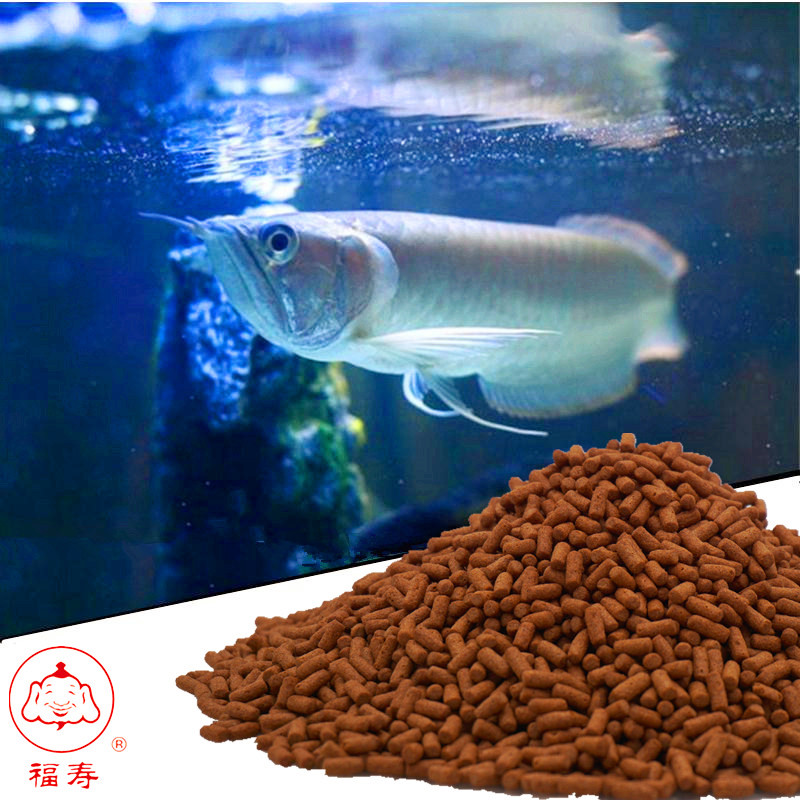 Red dragon feed special fish food Silver Arowana Red Arowana fish food map Lucky fish Large strip floating bright