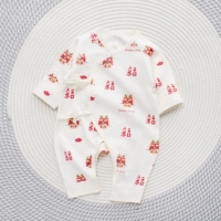 1 весна и осень счастливого дракона.