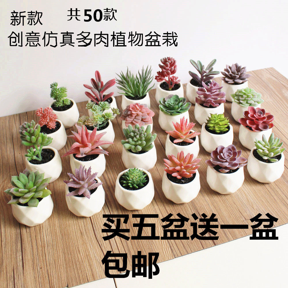 田园迷你仿真多肉植物盆栽摆件绿植假多肉假花盆景店铺家居装饰花