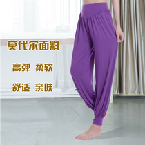 Dance pants bloomers winter dance practice female adult loose beam foot body bodybuilding gymnastics training dance pants