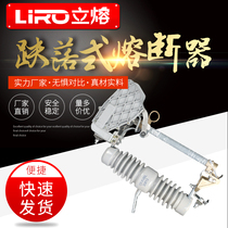 With arc extinguishing cover 10KV outdoor drop fuse RW12-15F 100A high voltage Lac switch fuse