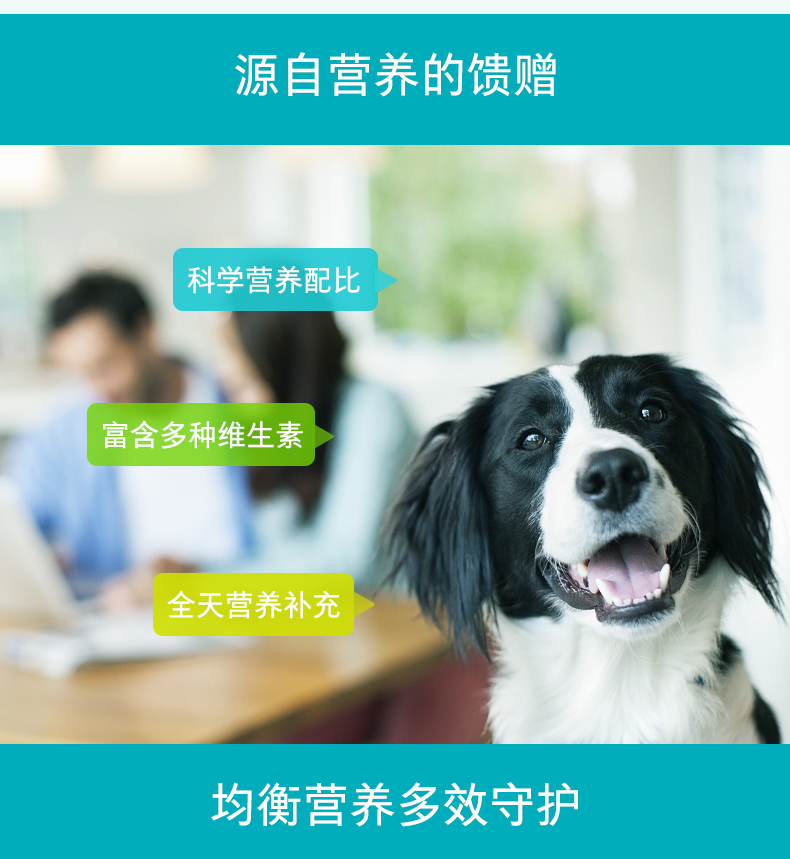 Viên nén vitamin tổng hợp Wei Shi 400 viên pet dog dog Teddy sau sinh bổ sung dinh dưỡng và các sản phẩm sức khỏe sữa cho chó mẹ sau sinh