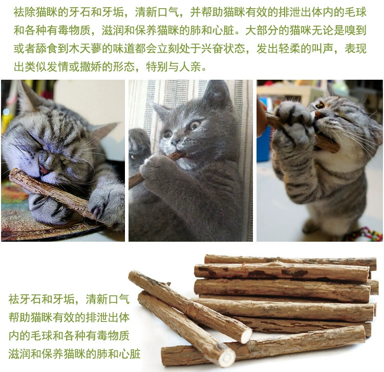 Cat Wood Tian Li Stick Cat Snacks Cat Cung cấp Cat Molar Stick Răng Mèo Mint Cat Bite Stick Amit Pet - Đồ ăn nhẹ cho mèo