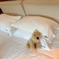 Коллекция Brown West Highland (Spot) плюс покупка предпочтительной доставки