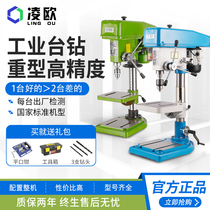 Lingou Z516 16MM industrial high-precision bench drill heavy drilling machine household and West Lake same z4120