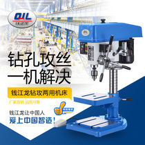 Hangzhou Qianjianglong industrial-grade bench drilling and tapping dual-purpose bench drill 12 16 20 25 drilling and tapping dual-use