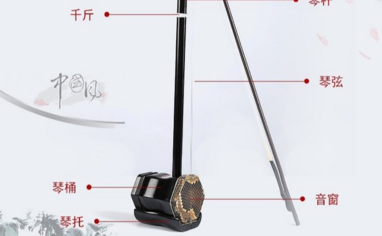 Melody lớp một hương gỗ gụ erhu người lớn mới bắt đầu trẻ em nói chung chuyên nghiệp chơi nhạc cụ dân tộc ống sáo