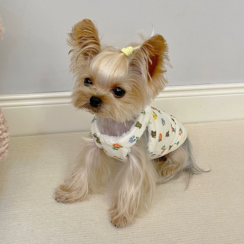 Little Sweet Sweet Cif Pet Service осень и зима плюс бархатный утолщенной наличные