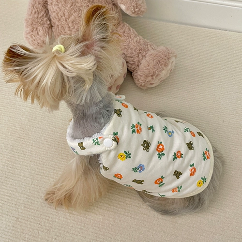 Little Sweet Sweet Cif Pet Service осень и зима плюс бархатный утолщенной наличные