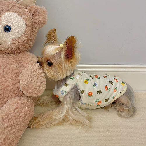 Little Sweet Sweet Cif Pet Service осень и зима плюс бархатный утолщенной наличные