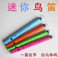 50 круглых птиц флейты