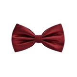 Brother, галстук-бабочка, бордовая рубашка с бантиком