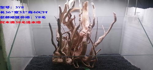 Du Juan корень корня вода трава, тонущая деревянная полоса деревянная ландшафтная ландшафт Таиланд.