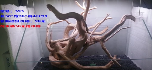 Du Juan корень корня вода трава, тонущая деревянная полоса деревянная ландшафтная ландшафт Таиланд.