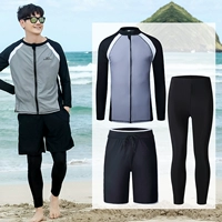 Стиль мужского моллюска [три -купюр плюс удобрения]