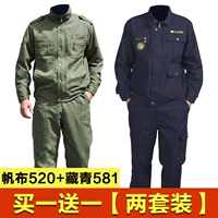 Хлопок 520+ Тибетский Qing 581 [2 комплекта] (рекомендуется)