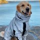 Dog raincoat tactical reflective jacket medium and large dog golden retriever border collar out four-legged waterproof rain poncho suit
