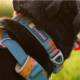 [Official Genuine] Ruffwell Forte Dog Collar Ruffwear Pet Collar Dog Neck Collar Neck Strap